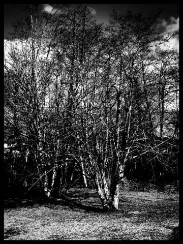 17274204_10154513024077297_1302465324_n