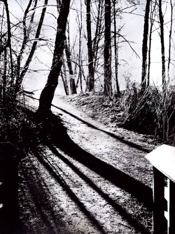 16507037_10154411009292297_1041525904_n